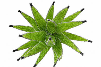 Aloe Napkin ring
