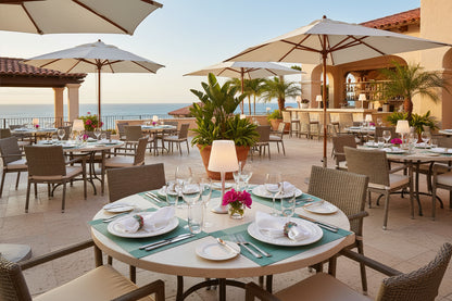 Seamoss Rectangle Placemat, Set of 4